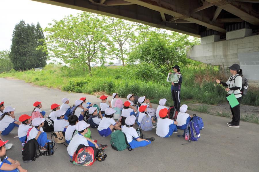 「川のみなと」をめざして、１・２年生の遠足！