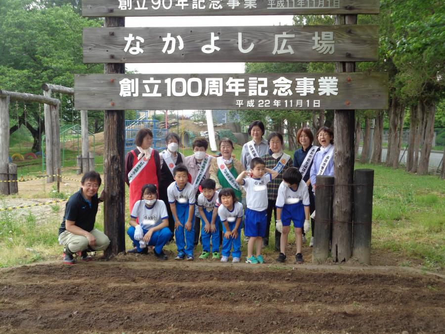 紅花栽培で花壇復活へ！