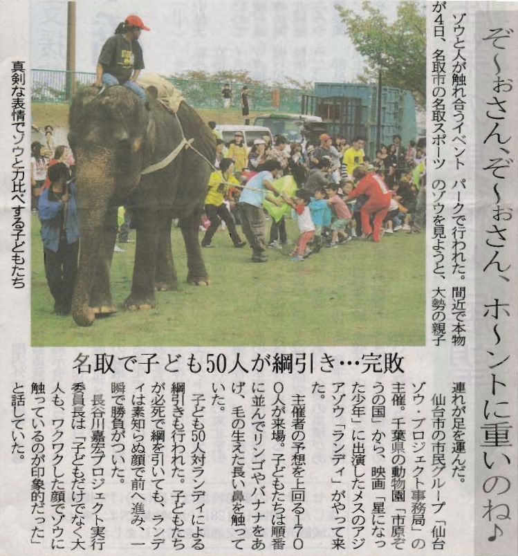 仙台ゾウプロジェクト・ランディがついに来たゾウ！