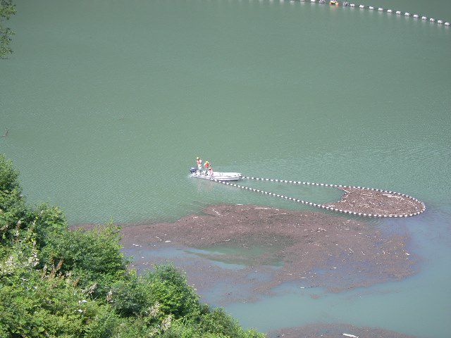 夏到来！