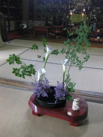 ６月のお花