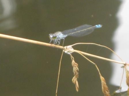 7月11日、今・・・