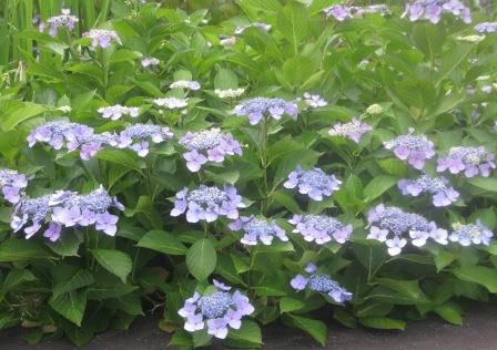 模様替えの続き