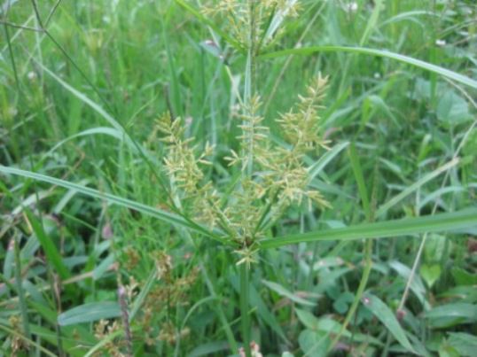 一息ついて・・・