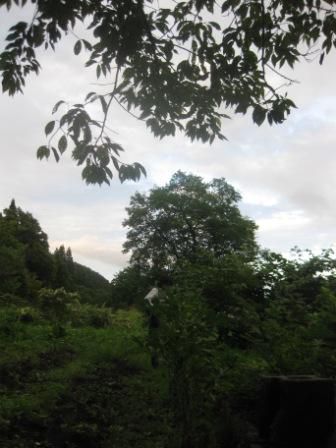 ♪さよなら夏の日