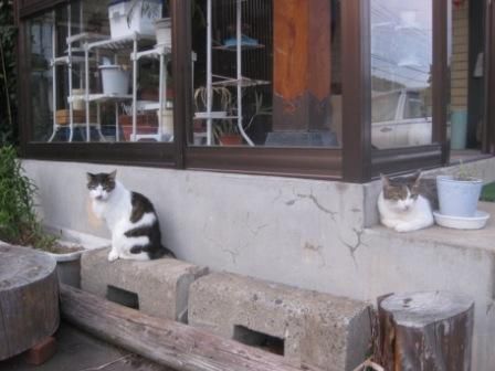 話題はもう・・・