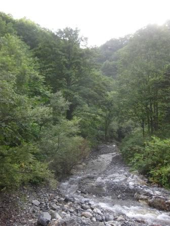 大荒沢林道　下見