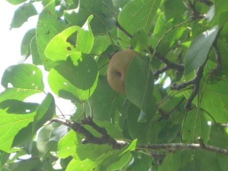 グッ　タイミング