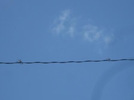 ９月１１日（日）　晴れ　暑かった