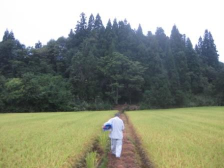 １９日（月）敬老の日に