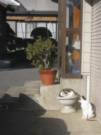 ９月２５日（日）　晴れ