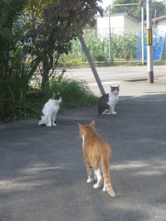 １時間半ちょっと