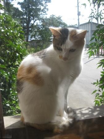 連休前（続き）