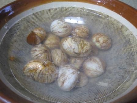 東の方を向いて