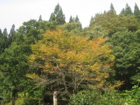 季節の変わり目