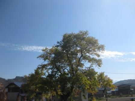 ペーパームーン