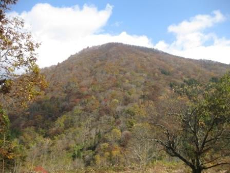 大荒沢不動尊登拝