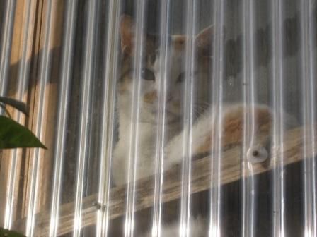 気がもめるけど