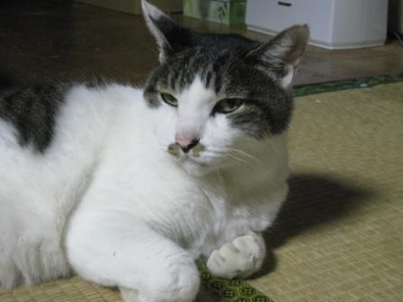 とりあえず終った