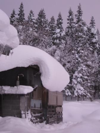 雪の山形市内へ出張