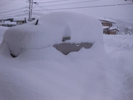 まだ１２月なんだけど
