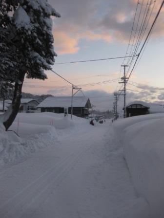 モヒカンみたい