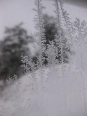 強い寒気の中で