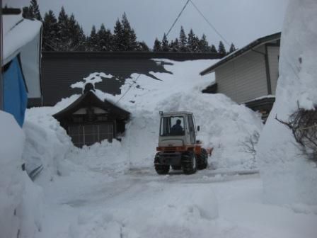 日曜日は忙しい