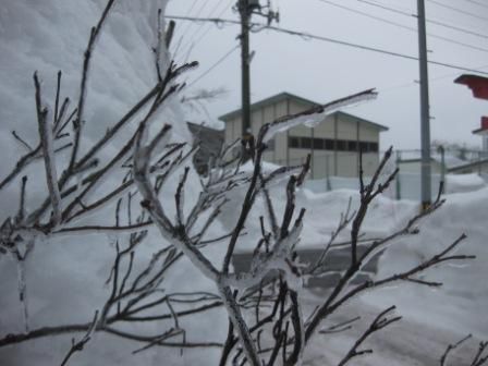 ルーキーの気持ち