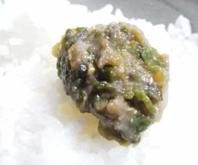 春を感じますが…