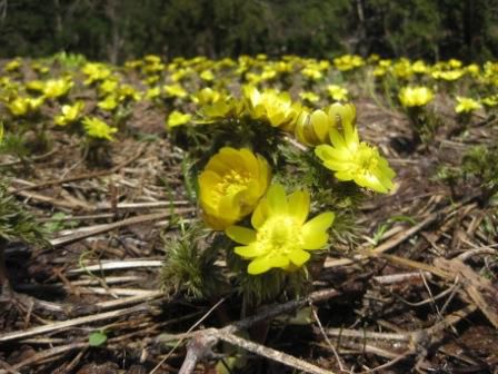 陽の光を浴びて