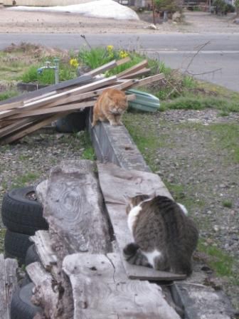 だんだん軽やかに