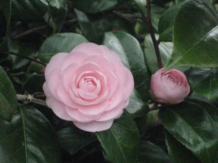 やっちまったなぁ