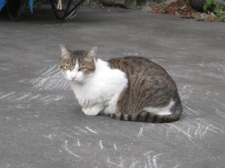 ありがたく・・・