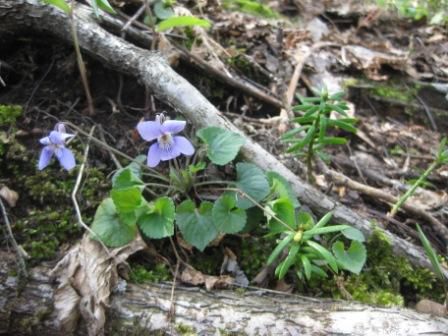 こころのゆとり