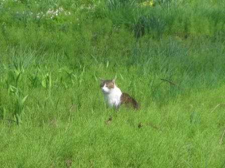 時間が早いなぁ