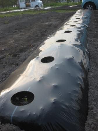 まったり日曜日