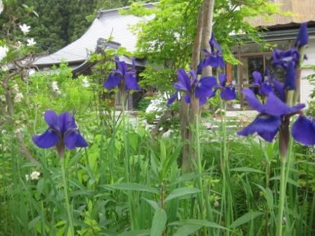 ６月なんだなぁ