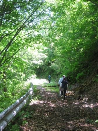 山で街で・・・