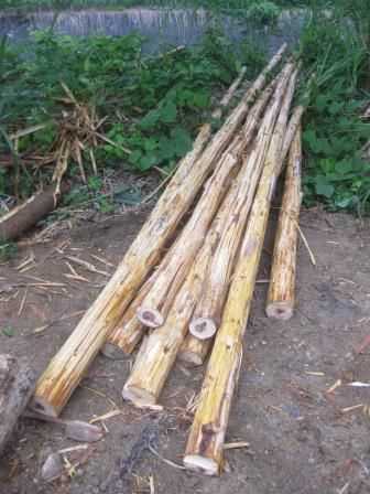 天気の良くない日には…