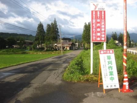 もう、夏至なんだね