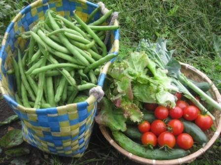 とりあえず休息