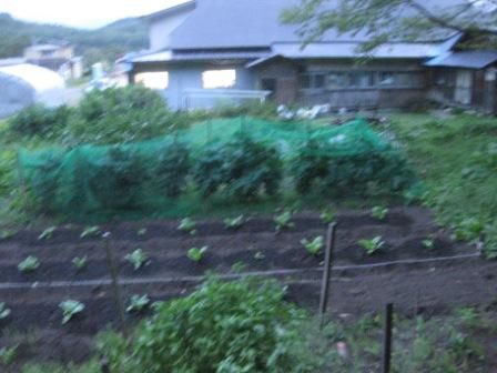 どうしたんだろう