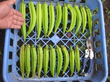 思うにまかせぬ