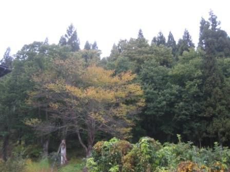 ずいぶん急なことで