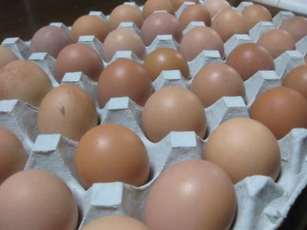 ちゃんとしたもの