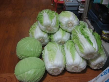 一時みぞれながら