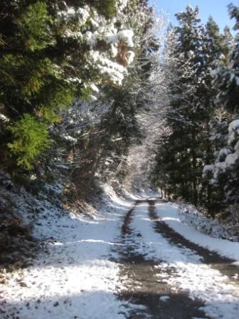 ようよう冬支度