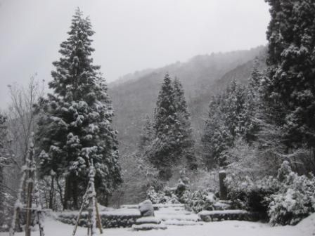 １２月８日　今日は何の日？