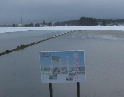 雪みず田んぼ